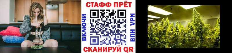 Купить закладку Канабис  Галлюциногенные грибы  Гашиш  Мефедрон  APVP  Амфетамин  Лысьва
