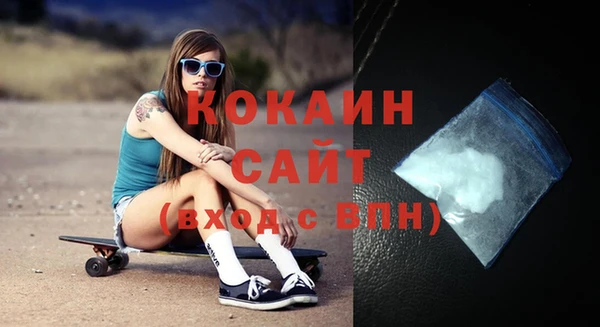 индика Вязники