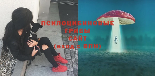 метадон Вяземский