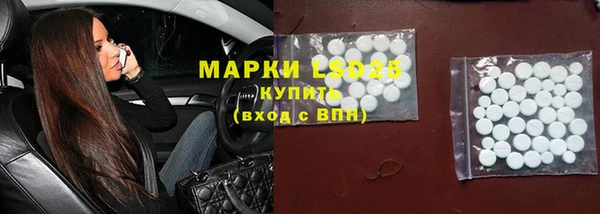 индика Вязники