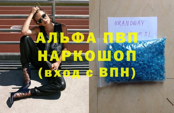 индика Вязники