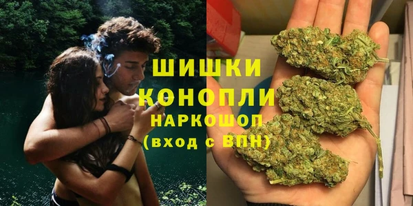 индика Горно-Алтайск