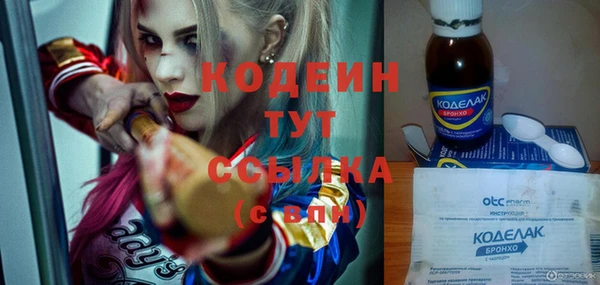 индика Горнозаводск